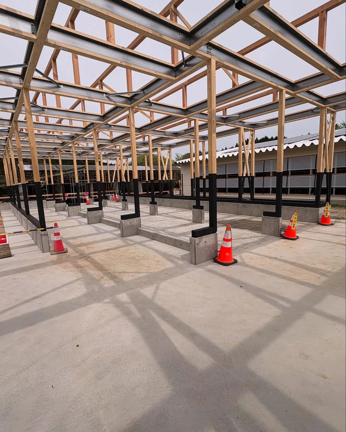 豊田市の牛舎施設の建替え工事にて