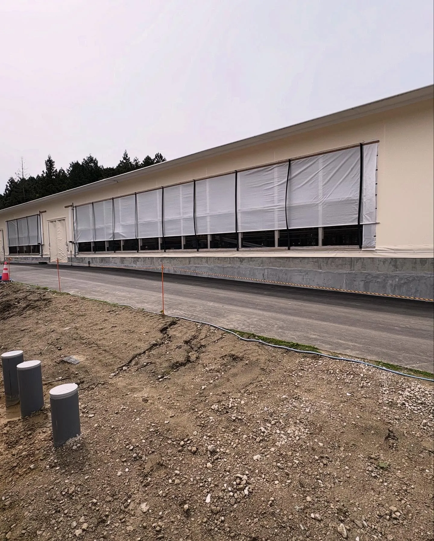 豊田市の牛舎施設の建替え工事にて
