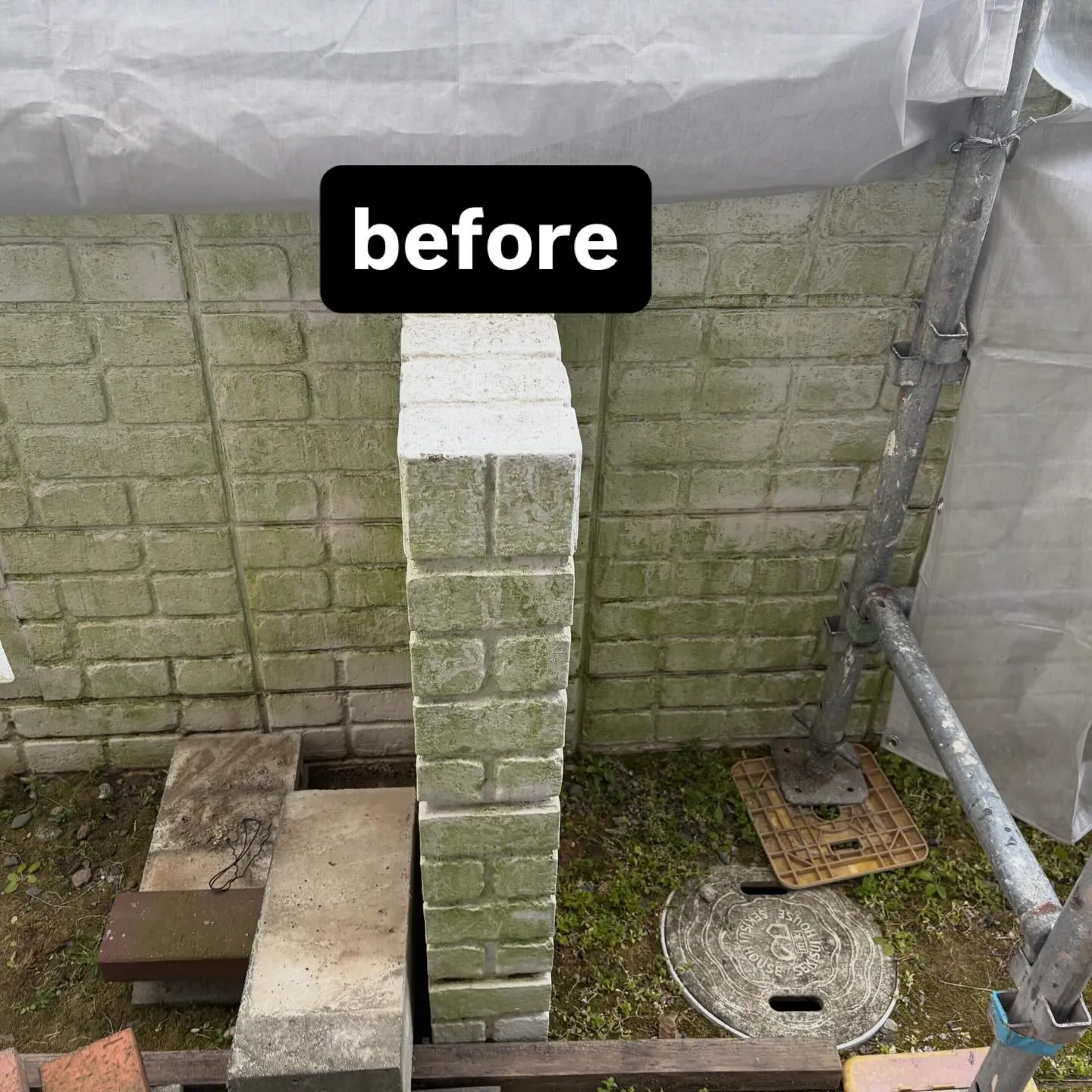 【塀の苔・黒ずみをバイオ洗浄🧼✨】