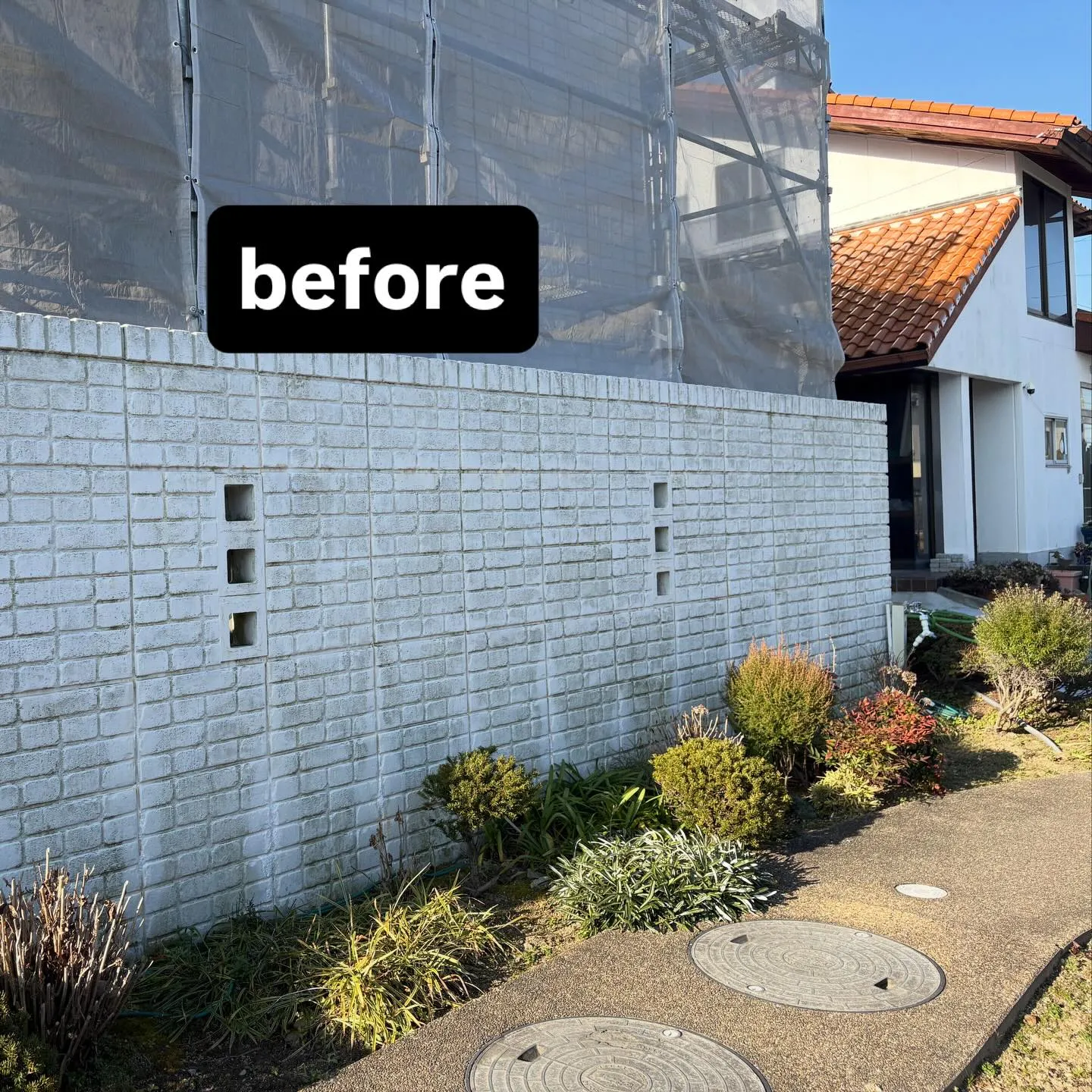 【塀の苔・黒ずみをバイオ洗浄🧼✨】