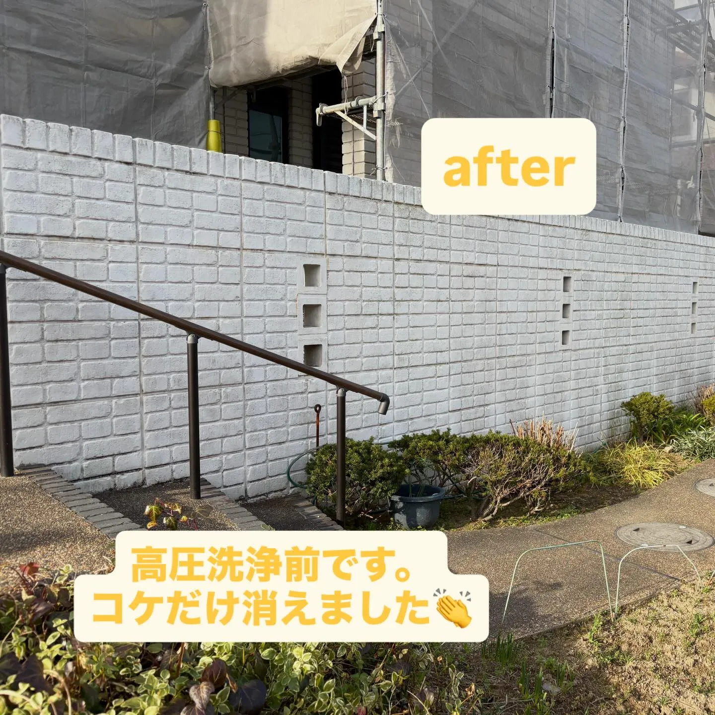 【塀の苔・黒ずみをバイオ洗浄🧼✨】